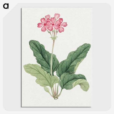 1-3_19th-Century-Japanese-Flowers_picture-crop