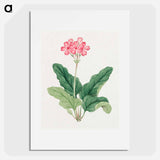 Sakura - 19世紀の日本の花 Poster.
