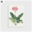 1-3_19th-Century-Japanese-Flowers_postcard