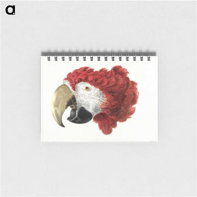 アートメモ帳-Head of a Macaw - アールト シューマン Memo.