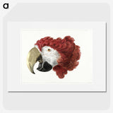 1-3_Aert-Schouman_picture