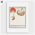 1-3_Anselmus-Boetius-de-Boodt_picture