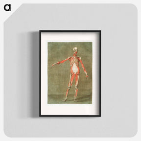 アートポスター-This fascinating collection of anatomical illustrations - アルノルド エロイ ゴーティエ ダゴティ Poster.