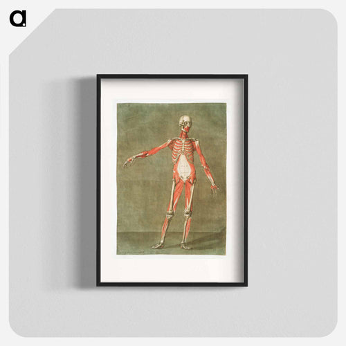 This fascinating collection of anatomical illustrations - アルノルド エロイ ゴーティエ ダゴティ Poster.