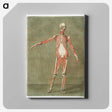 1-3_Arnauld-Eloi-Gautier-Dagoty_canvas