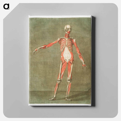 This fascinating collection of anatomical illustrations - アルノルド エロイ ゴーティエ ダゴティ Canvas.