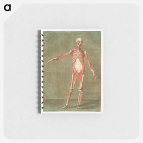アートメモ帳-This fascinating collection of anatomical illustrations - アルノルド エロイ ゴーティエ ダゴティ Memo.
