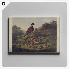 1-3_Arthur-Fitzwilliam-Tait_canvas