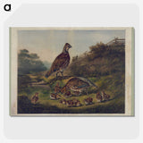1-3_Arthur-Fitzwilliam-Tait_picture-crop