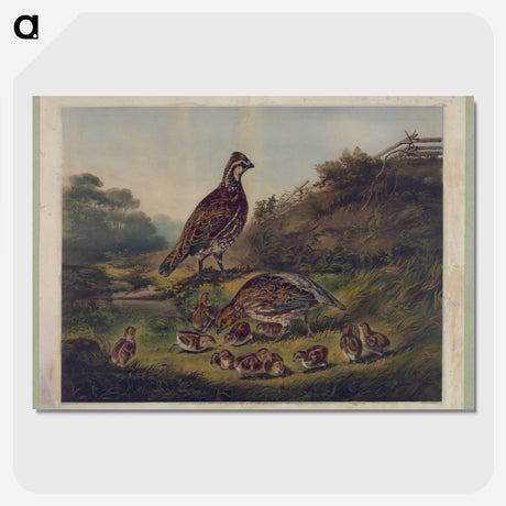1-3_Arthur-Fitzwilliam-Tait_picture-crop