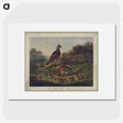 1-3_Arthur-Fitzwilliam-Tait_picture