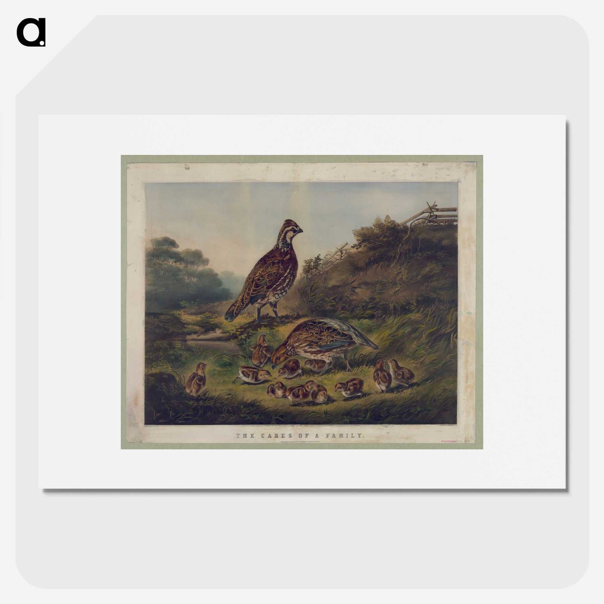 1-3_Arthur-Fitzwilliam-Tait_picture