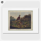 1-3_Arthur-Fitzwilliam-Tait_picture