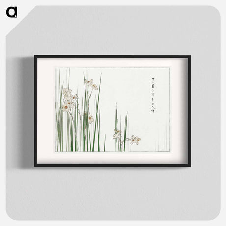 アートポスター-Jonquil Illustration
 - 美術世界 Poster.