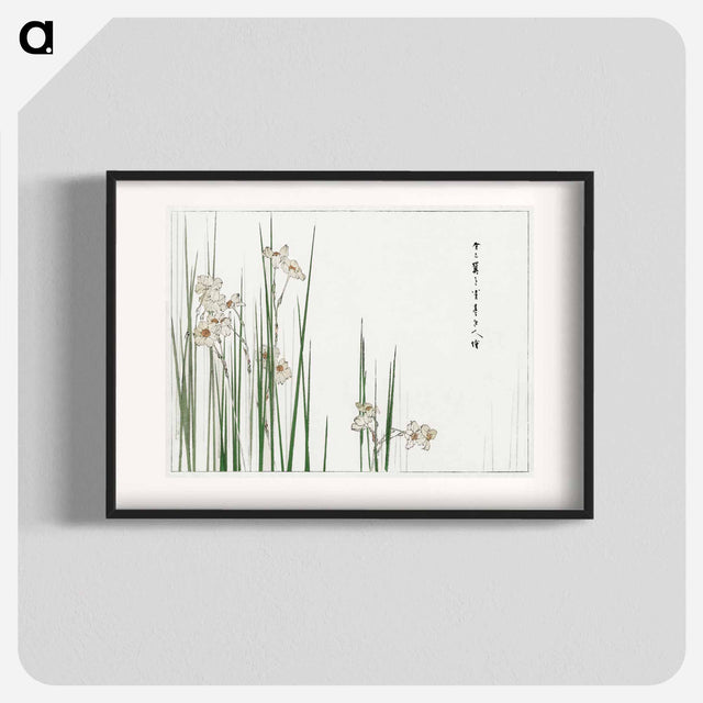 アートポスター-Jonquil Illustration
 - 美術世界 Poster.