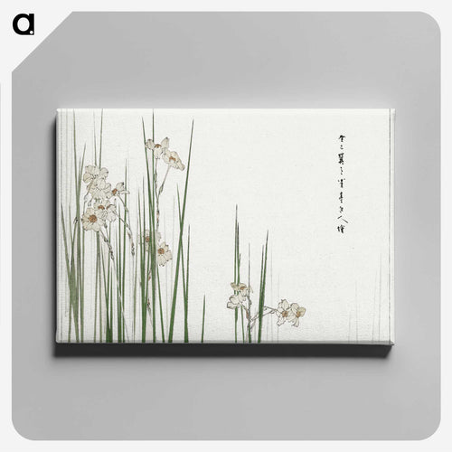 ジョンキルのイラスト - 美術世界 Canvas.