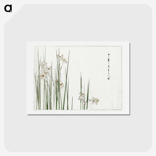 ジョンキルのイラスト - 美術世界 Postcard.