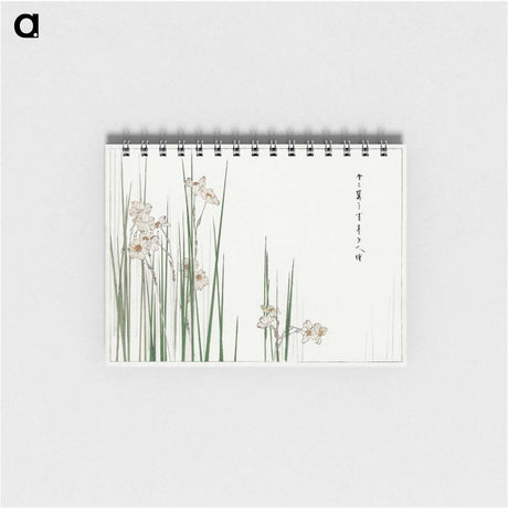 アートメモ帳-Jonquil Illustration
 - 美術世界 Memo.