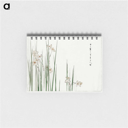 Jonquil Illustration
 - 美術世界 Memo.