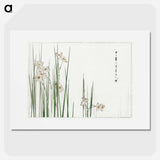 アートポスター-Jonquil Illustration
 - 美術世界 Poster.