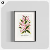 1-3_Botanical-Specimen-Plates_blk