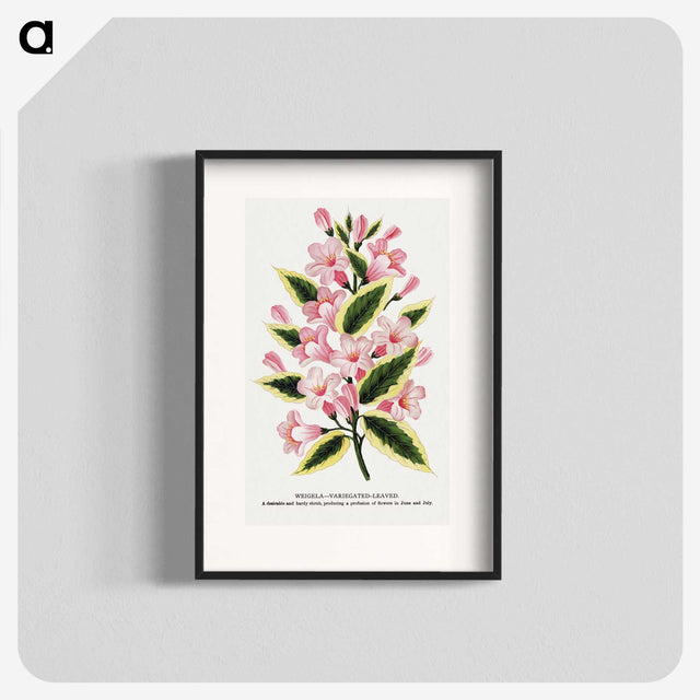 1-3_Botanical-Specimen-Plates_blk