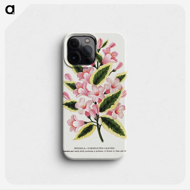 1-3_Botanical-Specimen-Plates_phone