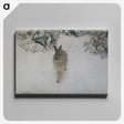 1-3_Bruno-Liljefors_canvas