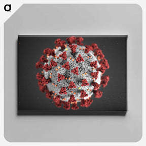 1-3_COVID-19_canvas