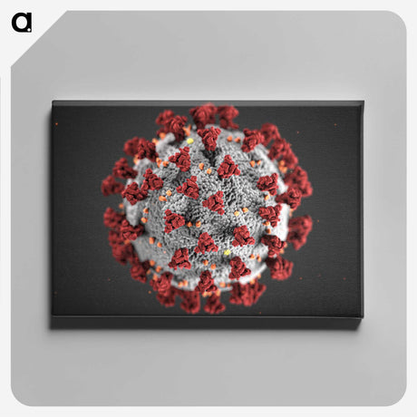 1-3_COVID-19_canvas