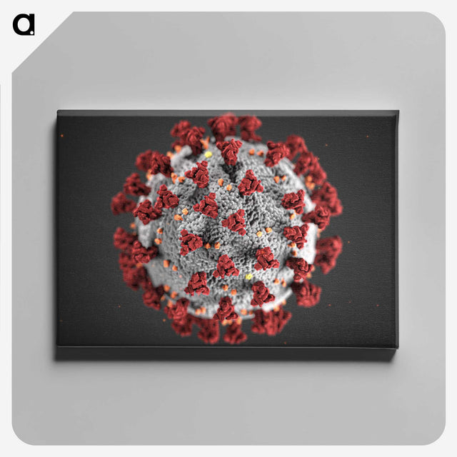 1-3_COVID-19_canvas