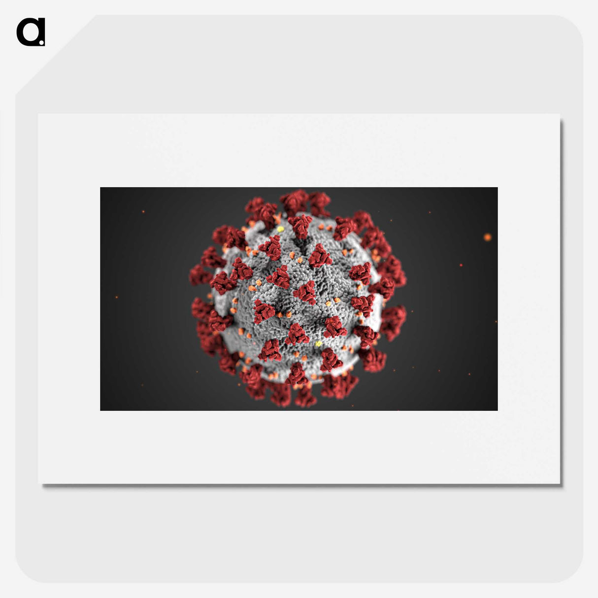 1-3_COVID-19_picture