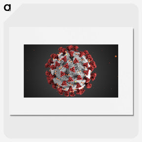 1-3_COVID-19_picture