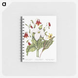 1-3_Canadian-Wild-Flowers_memo