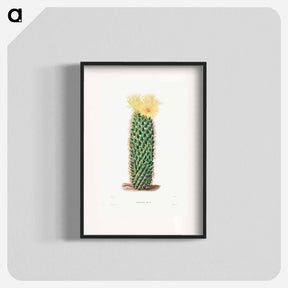 アートポスター-Hedgehog Cactus
 - シャルル アントワーヌ ルメール Poster.