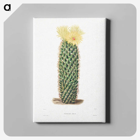 1-3_Charles-Antoine-Lemaire_canvas