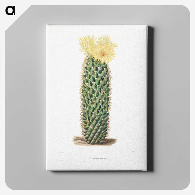 1-3_Charles-Antoine-Lemaire_canvas