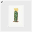 アートポストカード-Hedgehog Cactus
 - シャルル アントワーヌ ルメール Postcard.