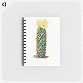 アートメモ帳-Hedgehog Cactus
 - シャルル アントワーヌ ルメール Memo.