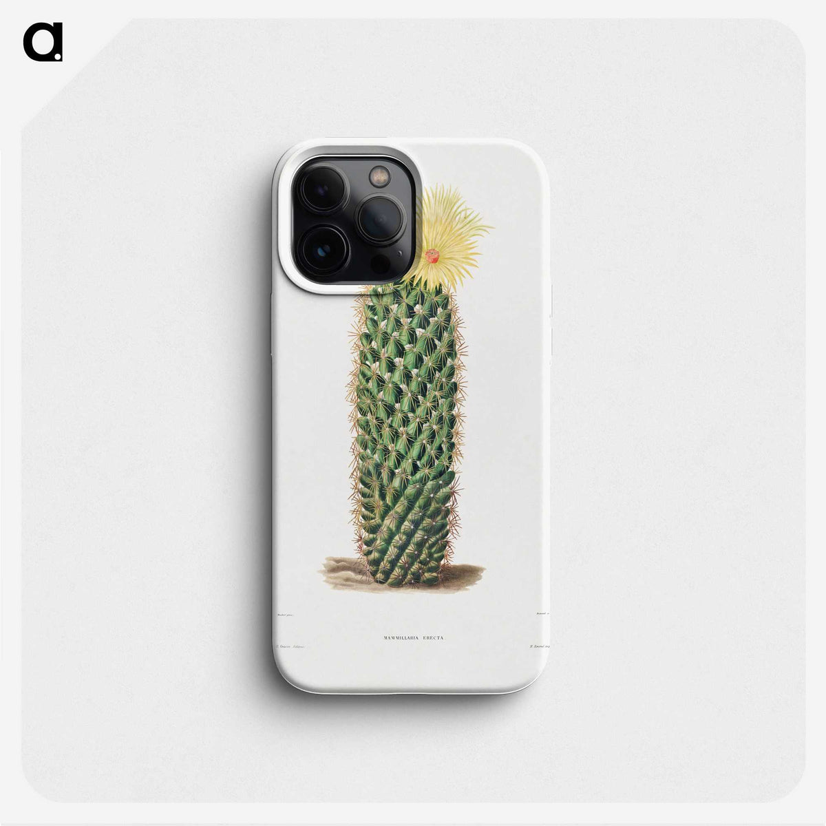1-3_Charles-Antoine-Lemaire_phone