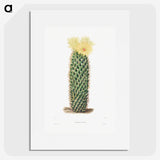 1-3_Charles-Antoine-Lemaire_picture