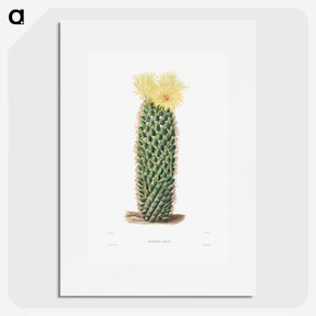 1-3_Charles-Antoine-Lemaire_picture