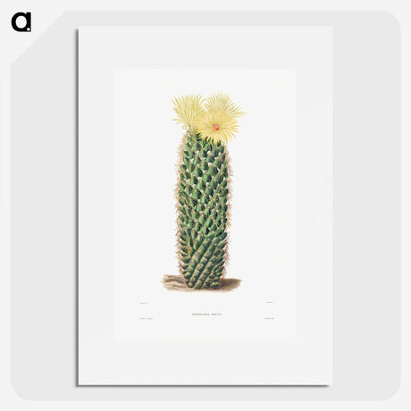 1-3_Charles-Antoine-Lemaire_picture