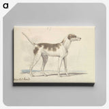 1-3_Charles-Hamilton-Smith_canvas