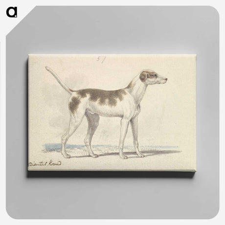 1-3_Charles-Hamilton-Smith_canvas