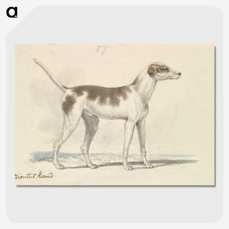 1-3_Charles-Hamilton-Smith_picture-crop