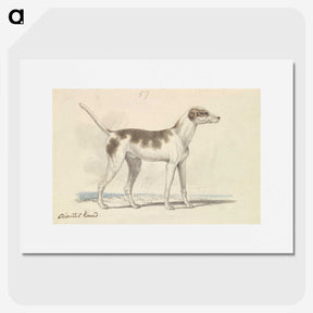 1-3_Charles-Hamilton-Smith_picture