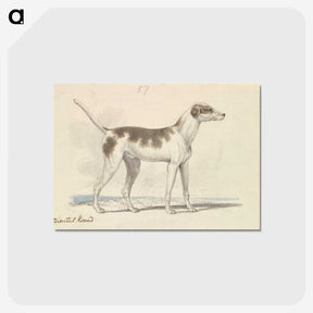 1-3_Charles-Hamilton-Smith_postcard