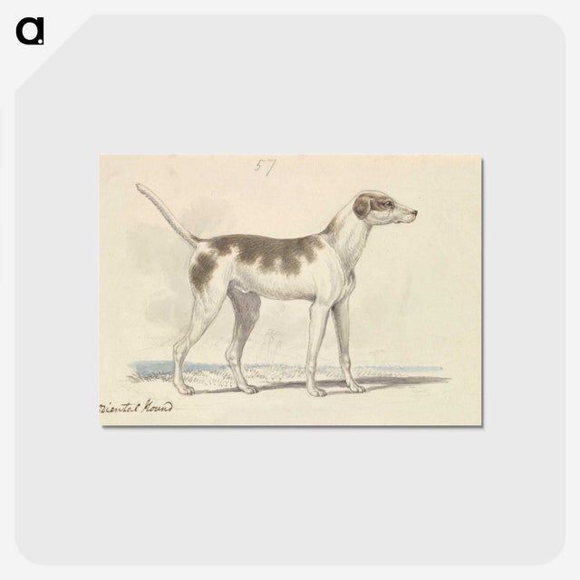 1-3_Charles-Hamilton-Smith_postcard