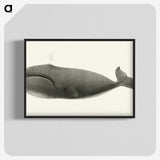1-3_Charles-Melville-Scammon_blk-crop